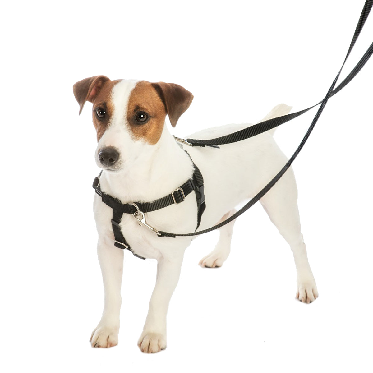 Rocky EarthStyle Freedom No-Pull Dog Harness