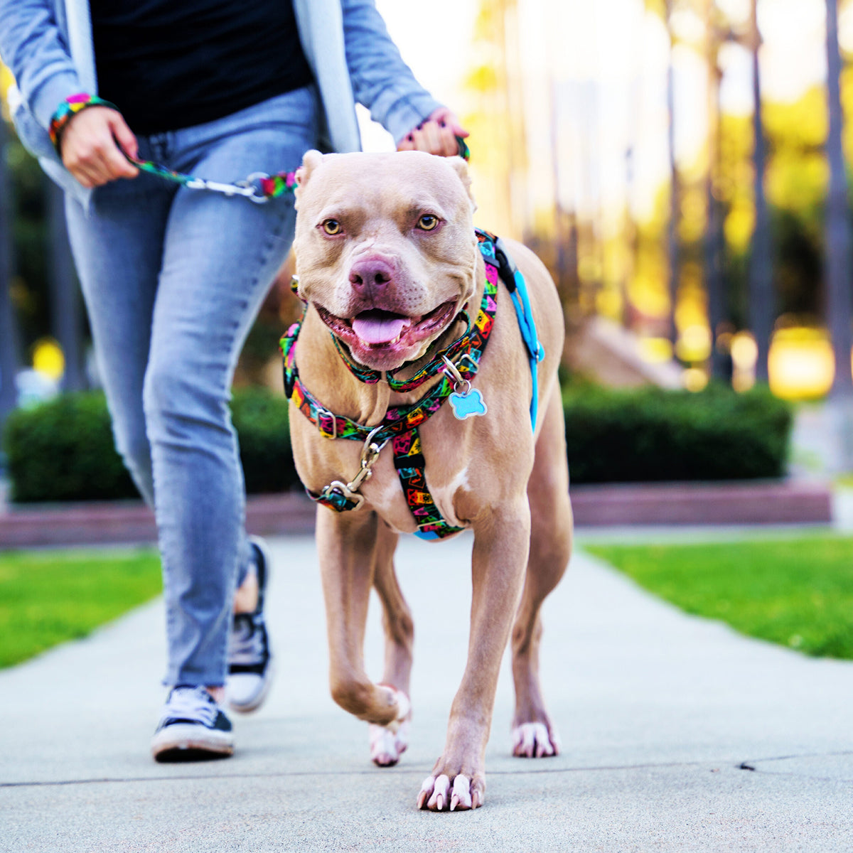 Paper Flags EarthStyle Freedom No-Pull Dog Harness